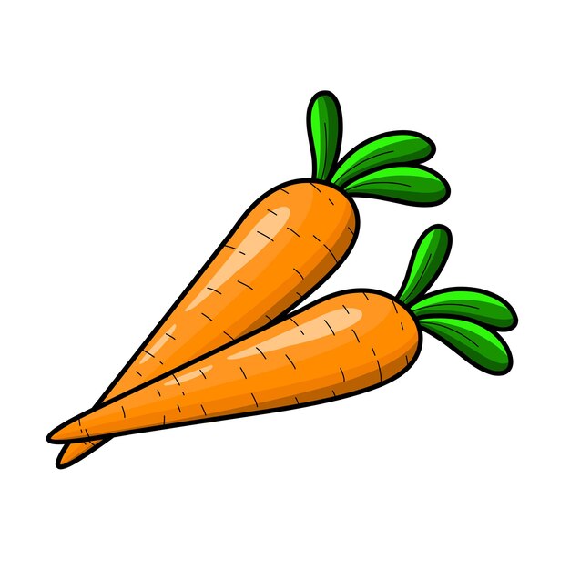 Freehand Drawing Illustration Vegetable Carrot. Stock Photo, Picture and  Royalty Free Image. Image 70098561.